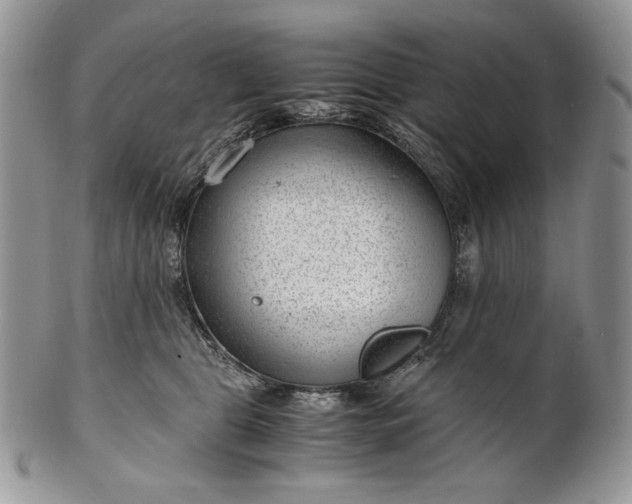 X0000101960469200808011112