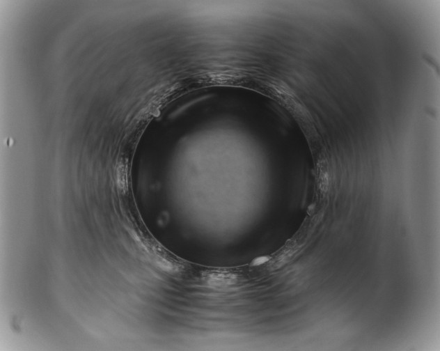 X0000101960471200808011112