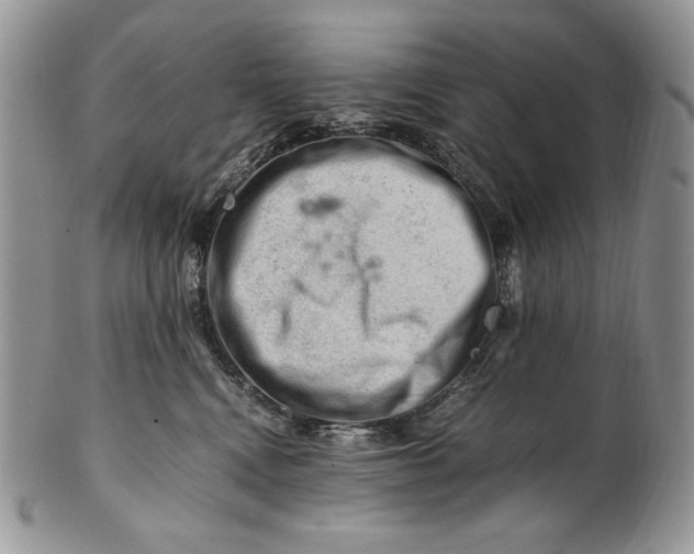 X0000101960472200808011112