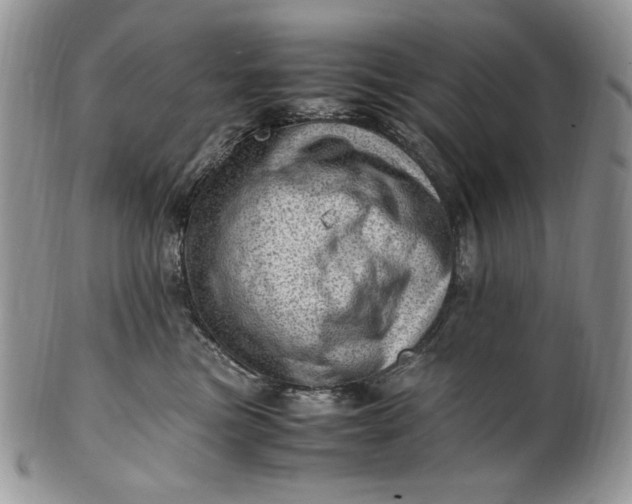 X0000101960473200808011112