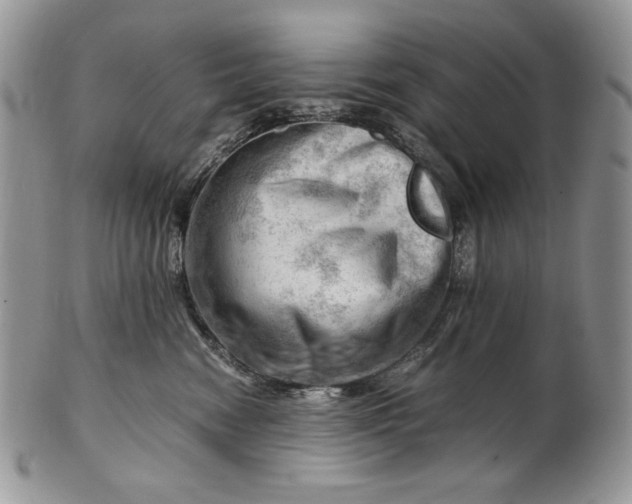 X0000101960474200808011112