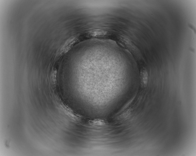 X0000101960475200808011112