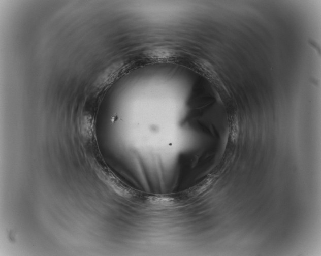 X0000101960476200808011112