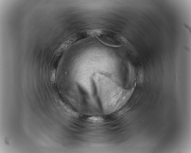 X0000101960477200808011112