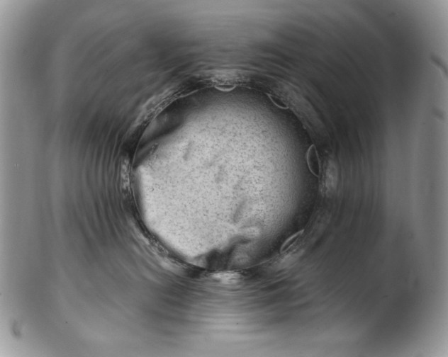 X0000101960478200808011112