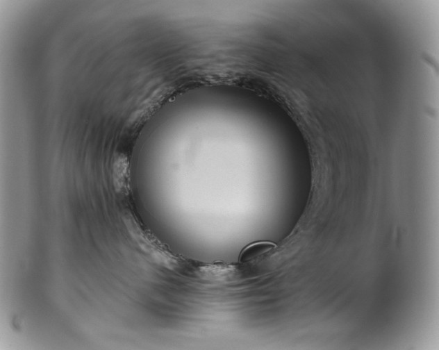 X0000101960480200808011112