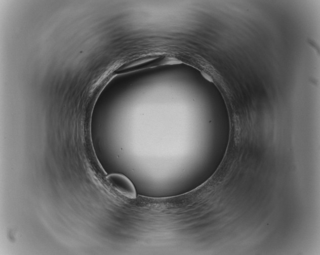 X0000101960482200808011111