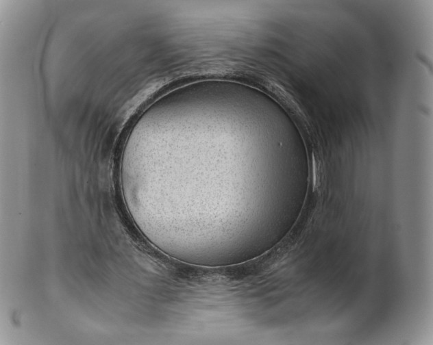 X0000101960483200808011111