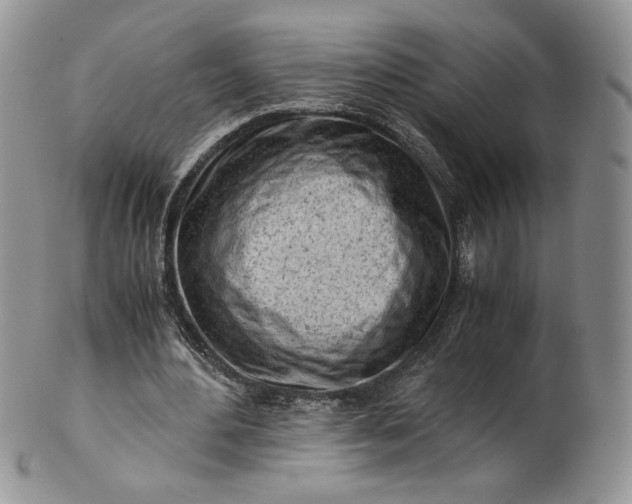 X0000101960484200808011111