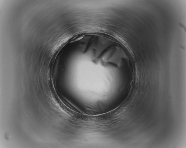 X0000101960485200808011111