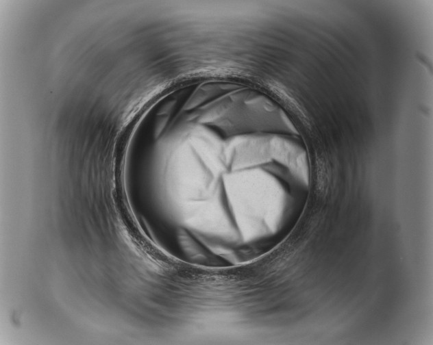 X0000101960486200808011111