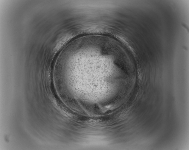 X0000101960487200808011111