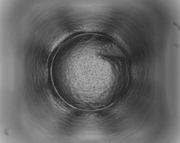 X0000101960488200808011111