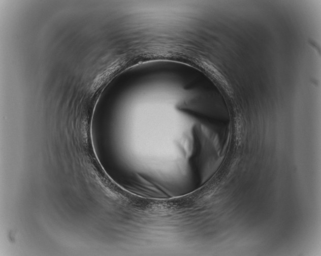 X0000101960489200808011111