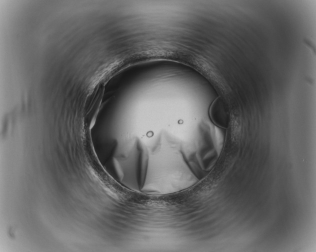 X0000101960490200808011111