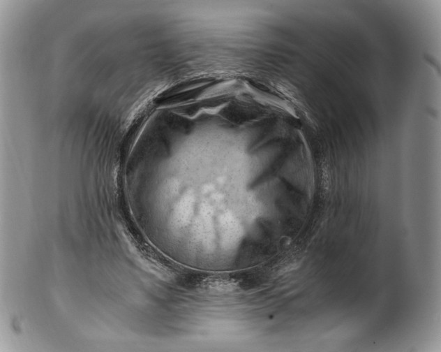 X0000101960491200808011111