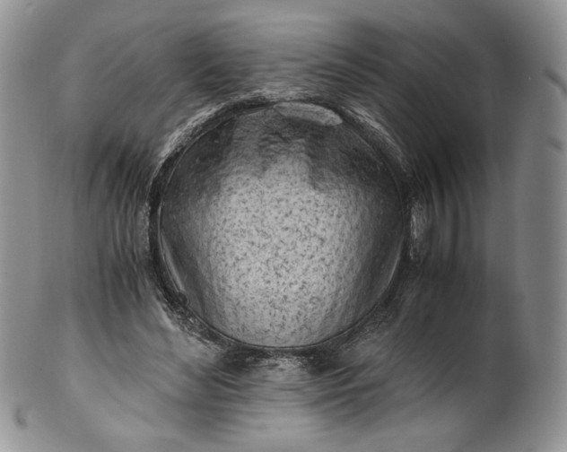 X0000101960492200808011111