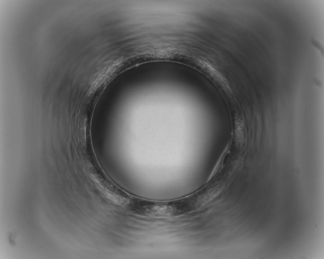 X0000101960493200808011111