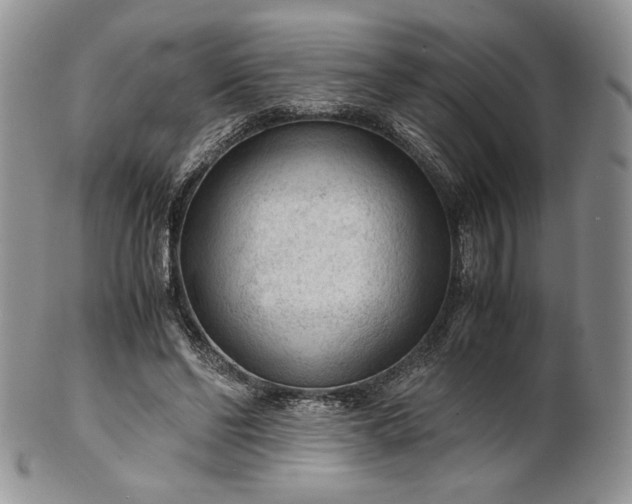 X0000101960494200808011111