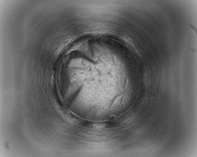 X0000101960495200808011111