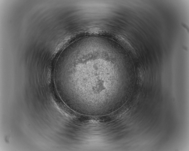 X0000101960496200808011111