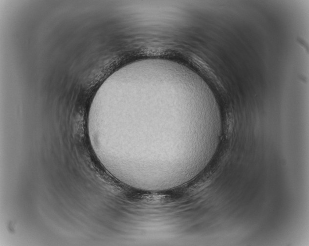 X0000101960497200808011111