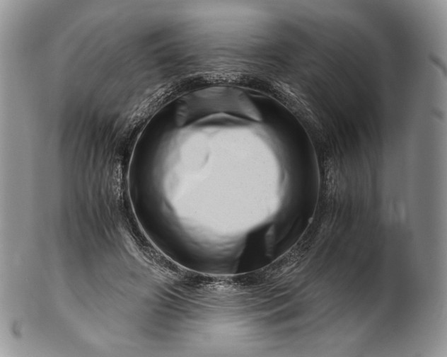 X0000101960498200808011111