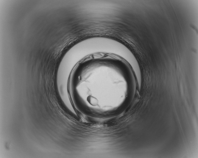 X0000101960499200808011111