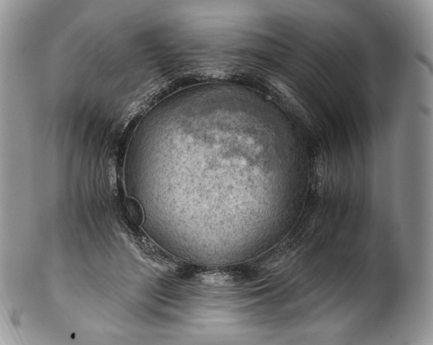 X0000101960500200808011111