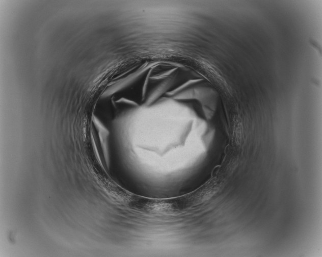 X0000101960501200808011111