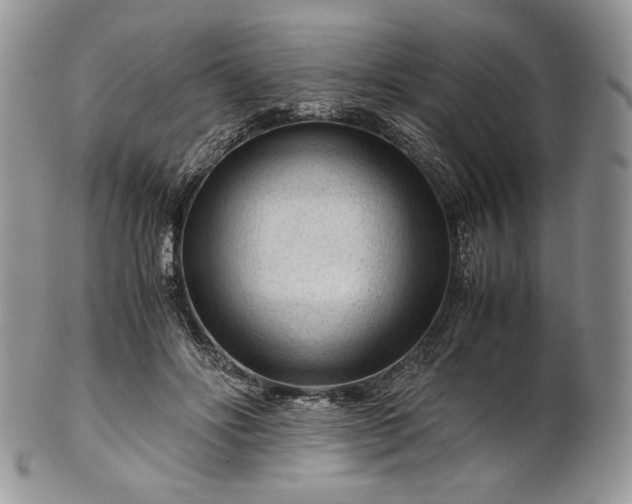 X0000101960502200808011111