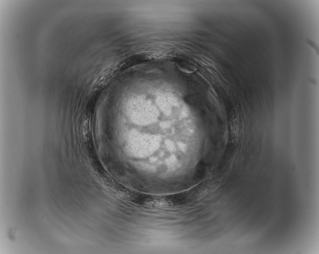 X0000101960503200808011111