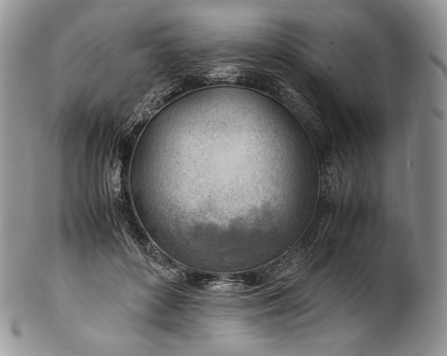 X0000101960504200808011111