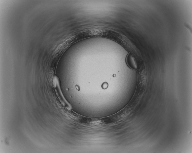 X0000101960505200808011111