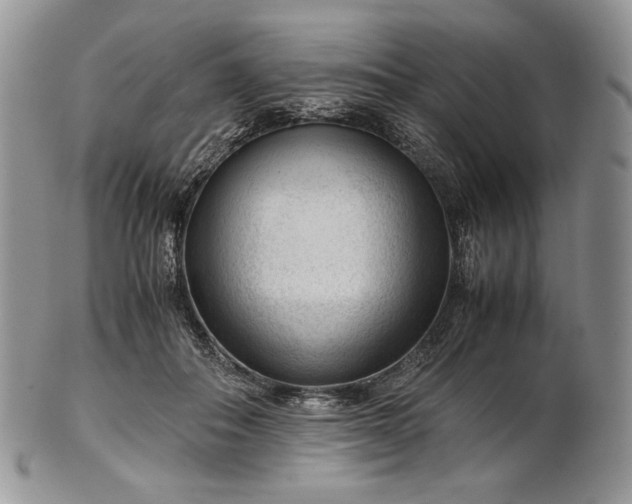 X0000101960506200808011111