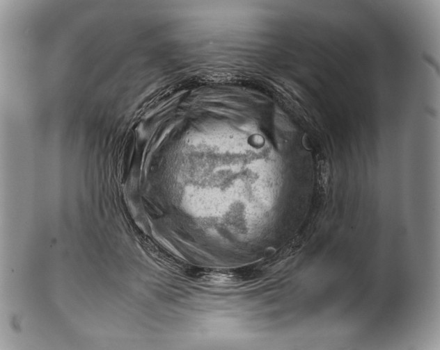 X0000101960507200808011111