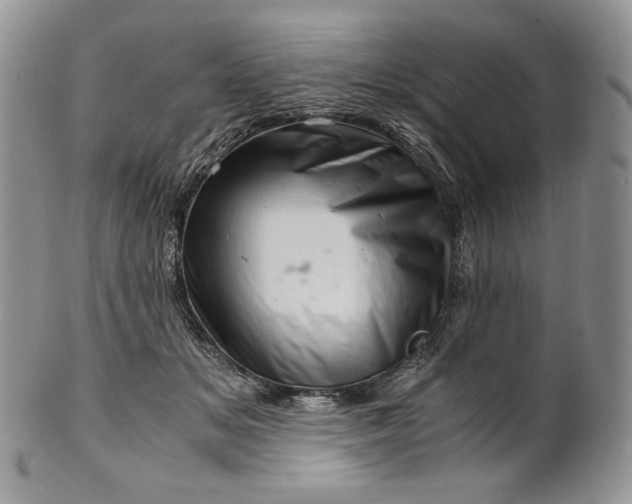 X0000101960509200808011111