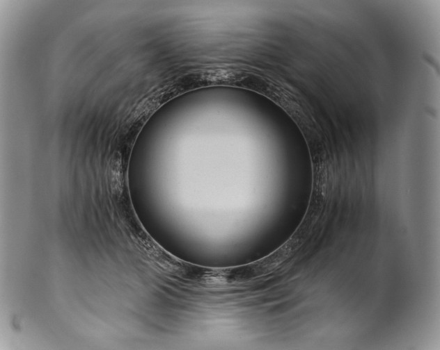 X0000101960510200808011111