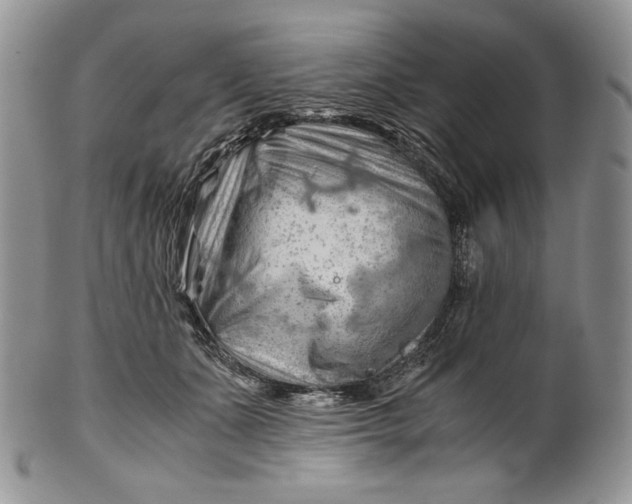 X0000101960511200808011111