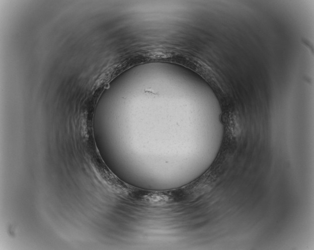 X0000101960512200808011110