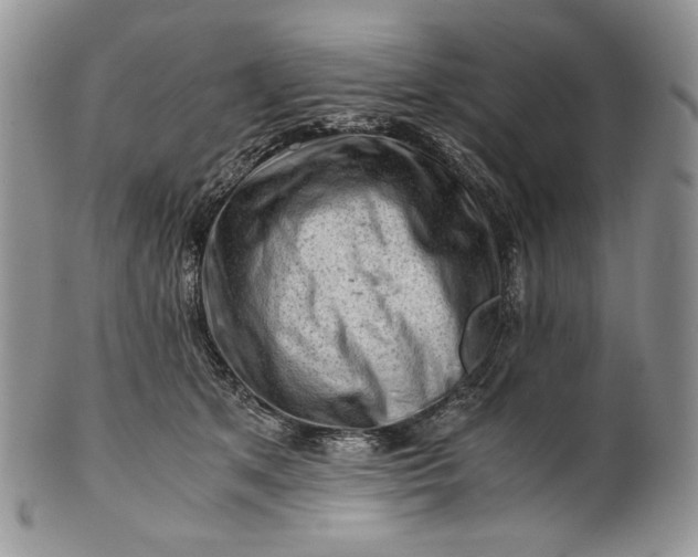 X0000101960513200808011110