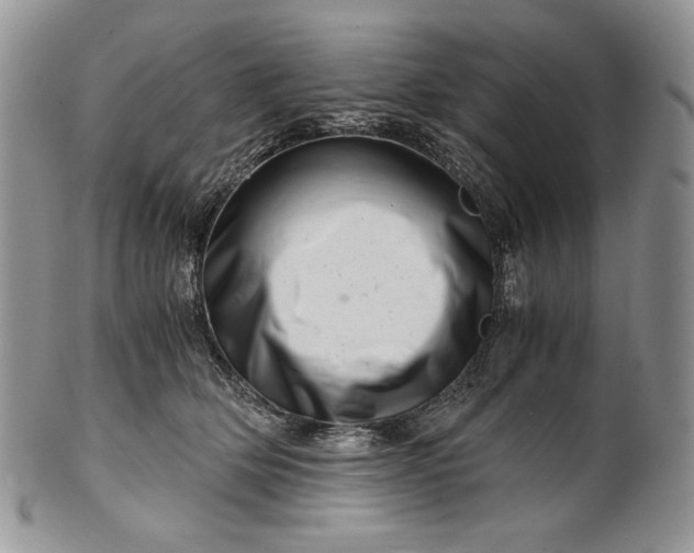 X0000101960514200808011110