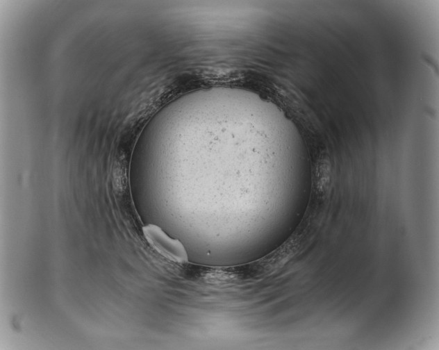 X0000101960515200808011110