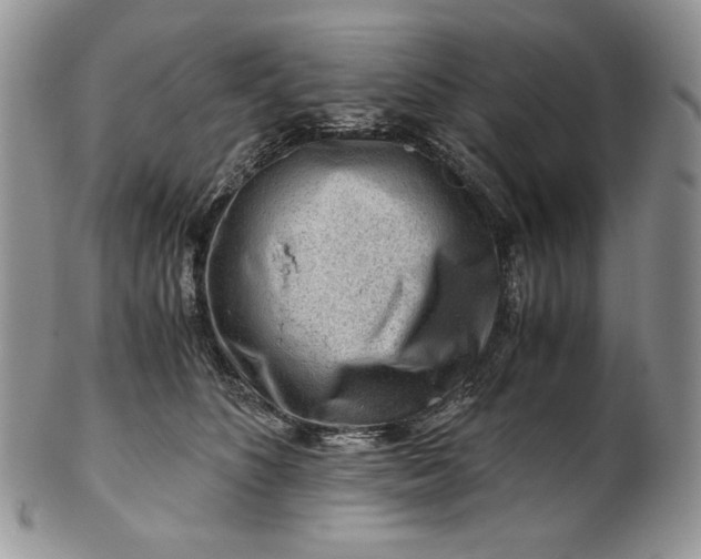 X0000101960516200808011110