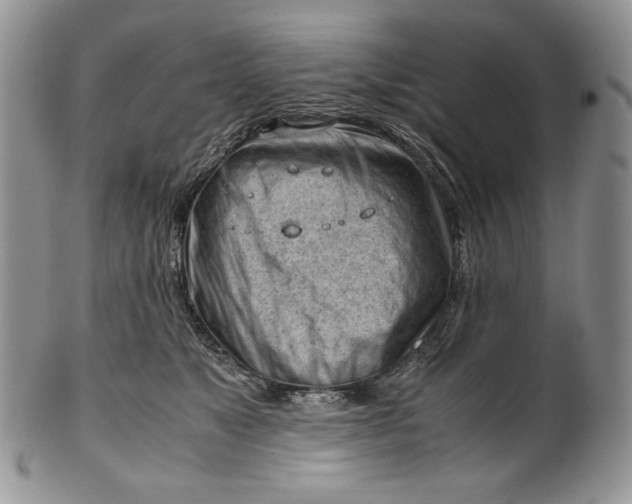 X0000101960517200808011110