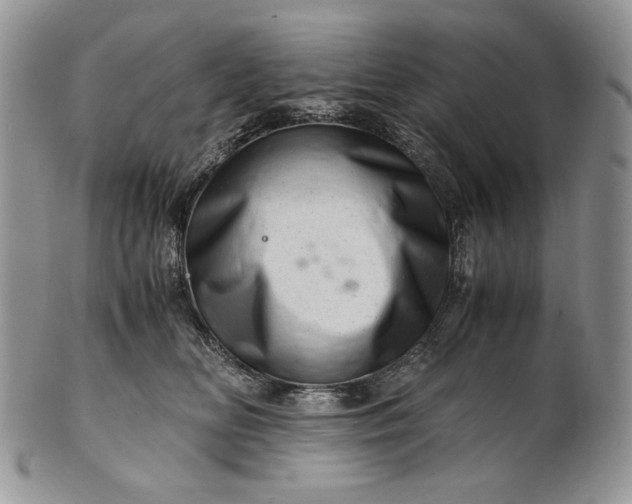 X0000101960518200808011110