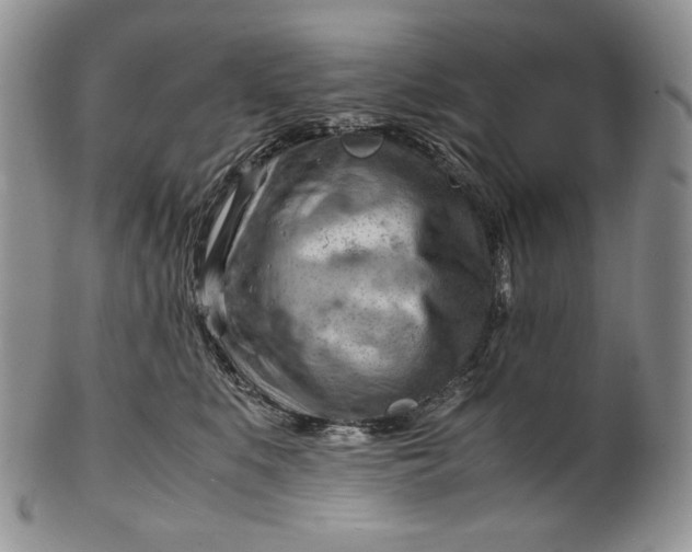 X0000101960519200808011110