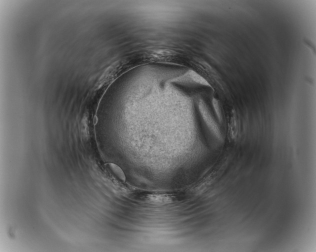 X0000101960520200808011110