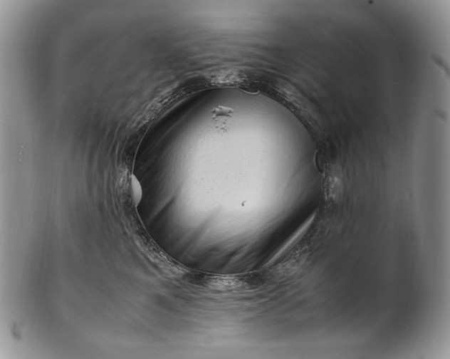 X0000101960521200808011110