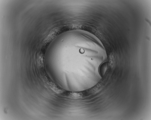 X0000101960522200808011110